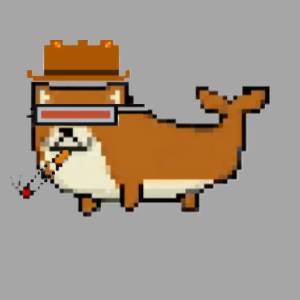 Cover registered for Doge Whales on DoggyMarket as of 17 September 2026