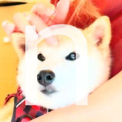 Logo registered for eiro on DoggyMarket as of 17 September 2026