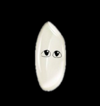 Logo registered for rice on DoggyMarket as of 17 September 2026