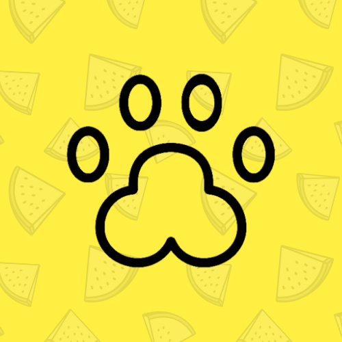 Logo registered for xlnx on DoggyMarket as of 17 September 2026